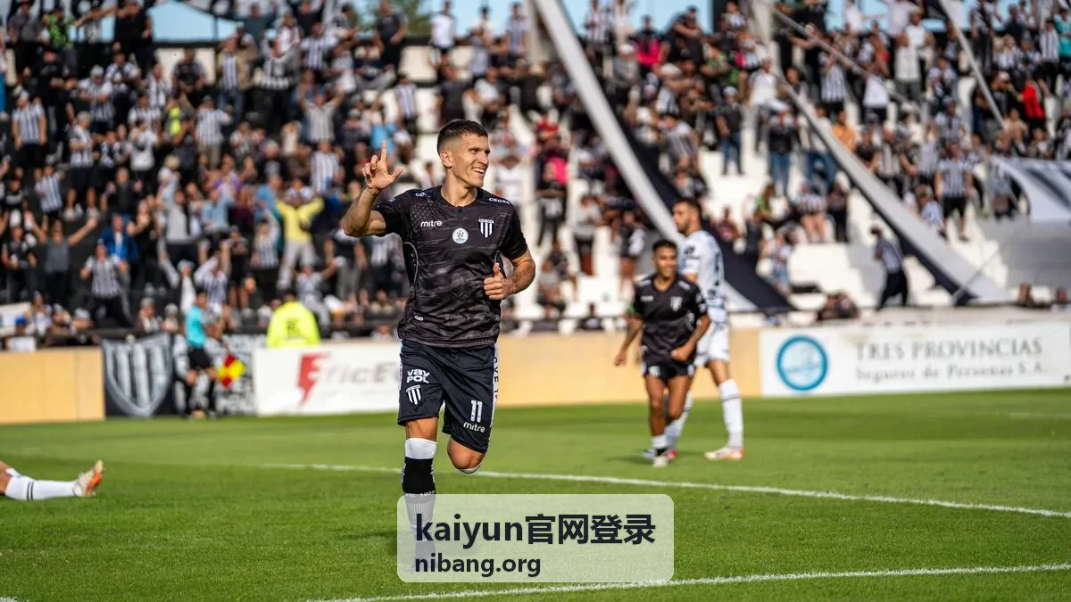 kaiyun官网登录页面字段核对示意